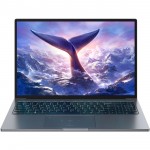 Ноутбук Blackview GamiBook 8 16"FHD IPS /Ryzen7 7735HS/32Gb/1Tb/Rad 680M/Type-C/FP/Win 11 Pro/UA Key/Gray (GamiBook_8_32_1_GR)