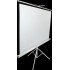 Екран мобільний з триногою Elite Screens T119NWS1 мобильный с треногой 119 " (1:1) 213,4Х213,4