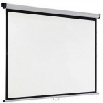 екран Acer F80-S01 163 x 122 cm 4:3 напольный