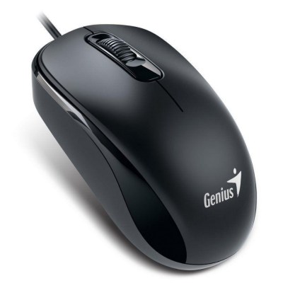 Миша Genius  DX-110 USB Black (31010116100)