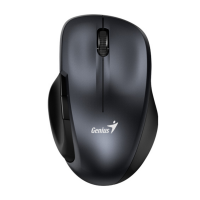 Миша Genius Ergo 8200S Wireless Iron Grey (31030029401)