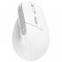 Миша Trust Bayo II Ergon Wireless - White (25398)