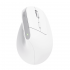 Миша Trust Bayo+ Ergonomic Wireless/Bluetooth White (25399)