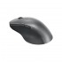 Миша Trust Professional Bluetooth Rechargeable Grey (4Y51J62544)