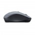 Миша Lenovo WL310 Silent Bluetooth Grey (GY51Q65621)