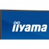Монітор iiyama XCB4594DQSU-B1