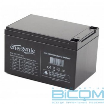 Батарея для ДБЖ EnerGenie 12В 12 Ач (BAT-12V12AH/6)